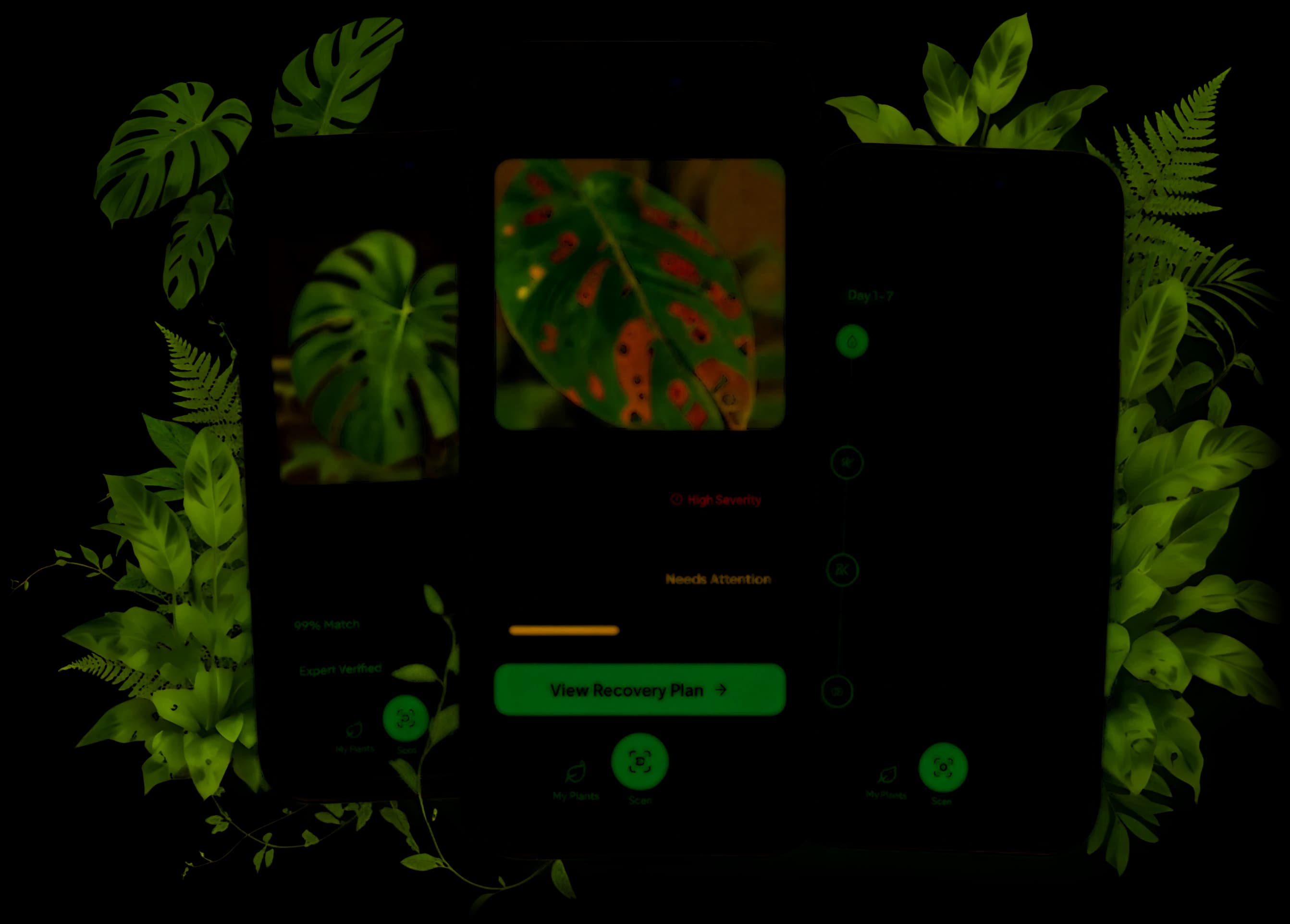 Plantiq app screens showing plant identification, diagnosis and a recovery plan